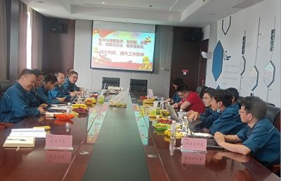 批评与自我批评 ，找问题、找差距、找解决方法，明责任强担当——记和记官方网站医药下属浙江和记官方网站药业党委民主生活会